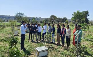 Field Bee practical