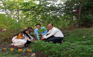 Plantation by science dept 